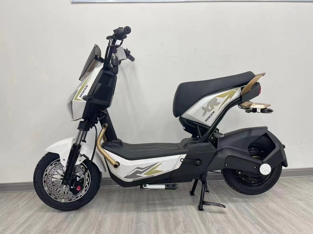 Dindo pro electric scooter