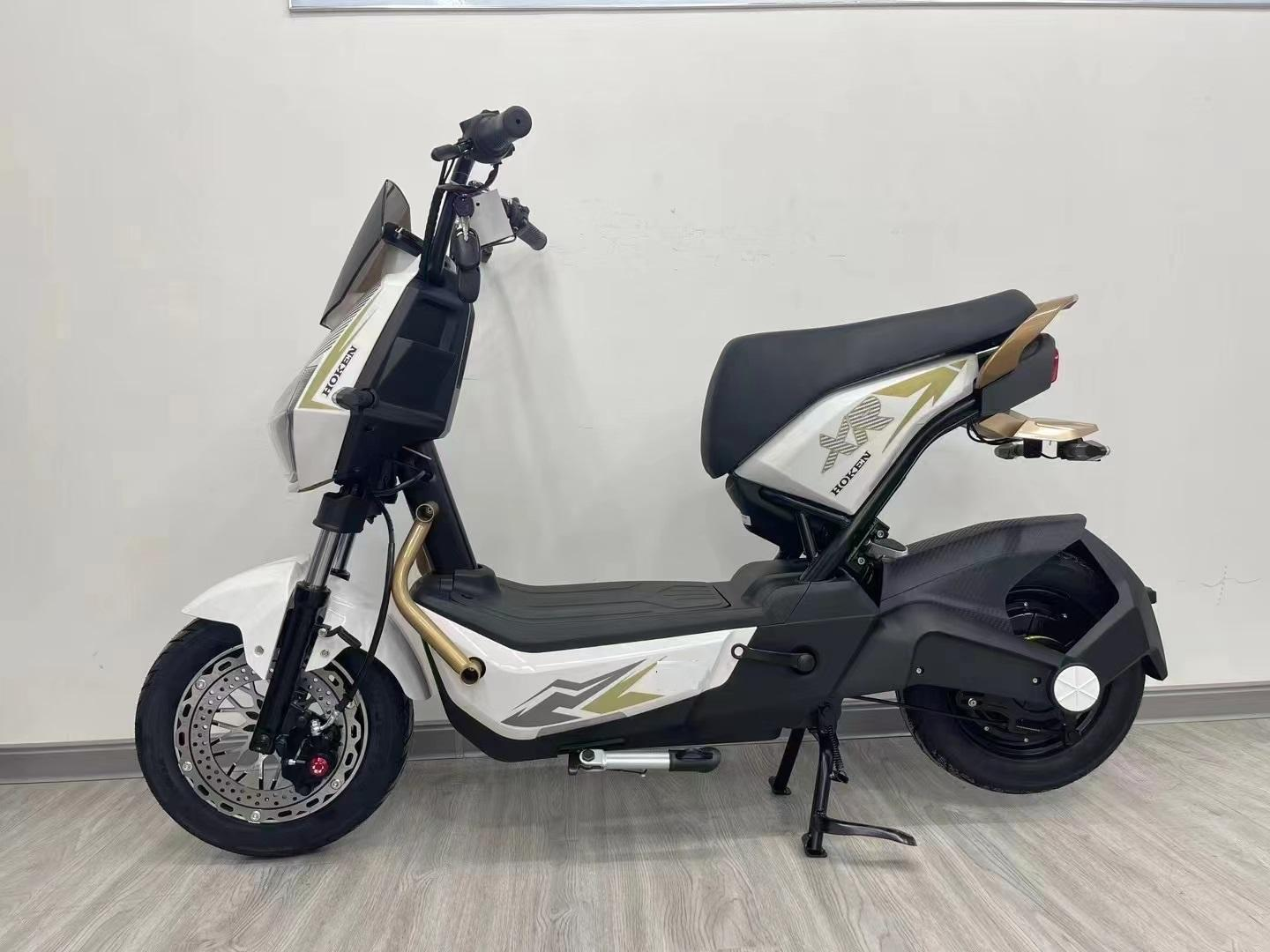 Dindo pro electric scooter