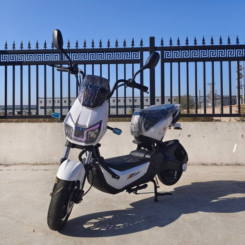 Dindo pro electric scooter